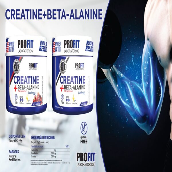 bhli-8c92d33dd410baf104ea4099a1f68c771f74c77e7cb9b3e1cd Creatina + Beta-Alanina com Palatinose - PROFIT Natural 225g