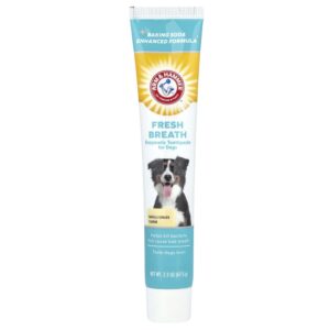 creme-dental-enzimatico-halito-fresco-para-caes-gengibre-e-baunilha-67-5-g-arm-h-w99hvh6avw.jpg Creme Dental Enzimático Hálito Fresco para Cães Gengibre e Baunilha 67.5 g - Arm & Hammer