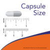 kelp_325_mcg_250_capsulas_now_foods-3-vvknabdhks.jpg Kelp 325mcg 250 Veg Cápsulas - Now Foods