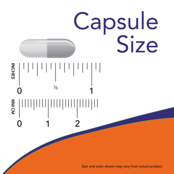 melatonina_5_mg_180_veg_capsulas_now_foods_veg_capsule_size-0avu3xvmno.png Melatonina 5mg 180 Veg Cápsulas - Now Foods
