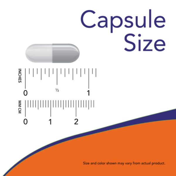 NAC (N-acetil Cisteína) 600mg - Now Foods 100 Cápsulas