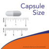 Pancreatin 2000 100 Cápsulas - Now Foods
