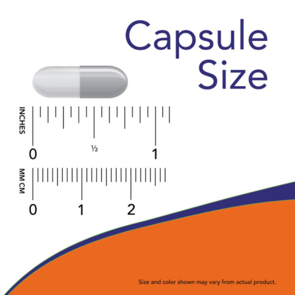 Pancreatin 2000 100 Cápsulas - Now Foods