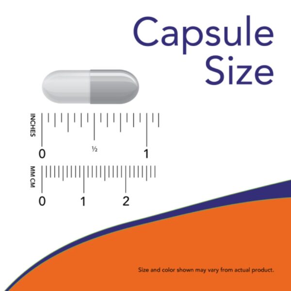 L-Triptofano 500MG 60 Cápsulas Vegetais - Now Foods