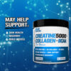 EVLution Nutrition - Creatine5000 com Colágeno + BCAA Para Mulheres Sem Sabor 249 g