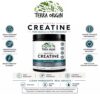 Terra Origin - Creatina Saudável Sem Sabor 515 g
