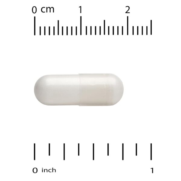 Vitacost - L-Glutamine 500 mg 100 Capsules
