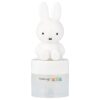 The Creme Shop - Balm Labial Hidratante Marshmallow Magnífico 8 g