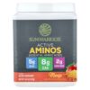 Sunwarrior - Active Aminos Manga 570 g