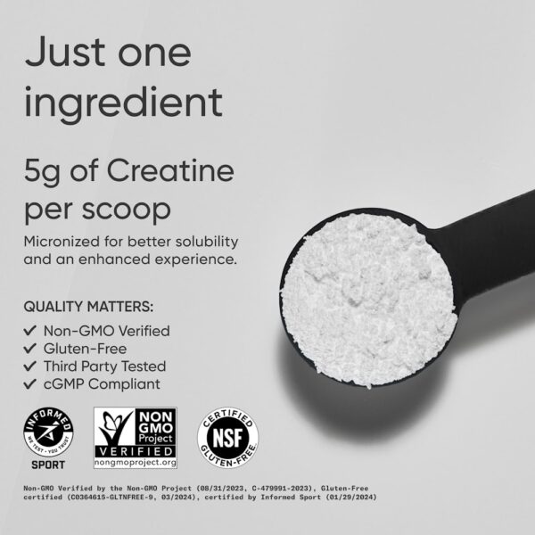 24-33.jpg Sports Research - Creatina Mono-hidratada Sem Sabor 500 g