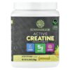 Sunwarrior - Creatina Mono-hidratada Ativa Limonada 350 g
