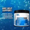 26-9.jpg EVLution Nutrition - Creatine5000 Sem Sabor 500 g