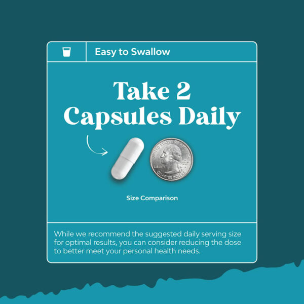 Nature's Craft - L-Tirosina 240 Cápsulas (500 mg por Cápsula)