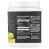 Sunwarrior - Creatina Mono-hidratada Ativa Limonada 350 g