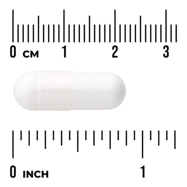 32-49.jpg Swanson Vitamins - Taurina 500 mg 100 Cápsulas