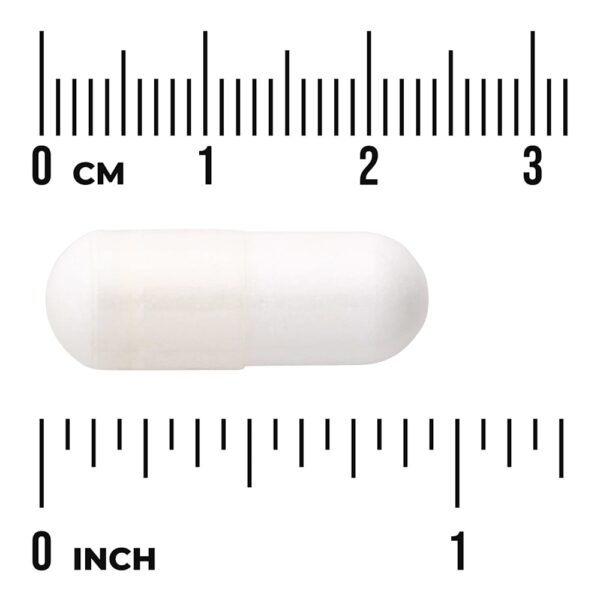 32-53.jpg Swanson Vitamins - Complexo de Aminoácidos Essenciais 60 Cápsulas Veganas