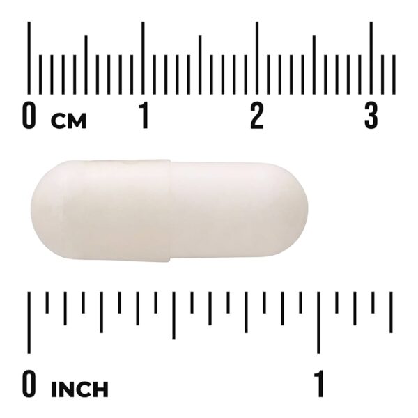 Swanson Vitamins - L-Histidina 500 mg 60 Cápsulas Veganas