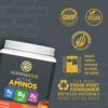 Sunwarrior - Active Aminos Manga 570 g