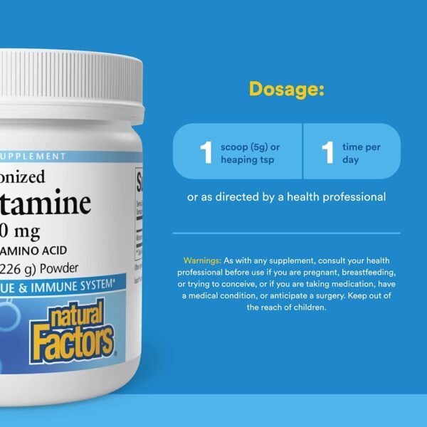Natural Factors - L-Glutamina Micronizada em Pó 226 g