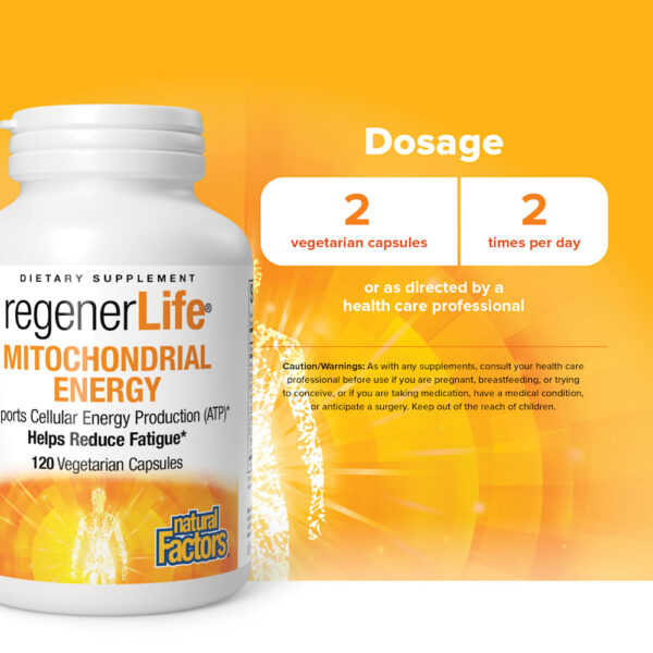 Natural Factors - RegenerLife Função Mitocondrial 120 Cápsulas Vegetarianas
