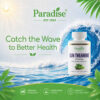 Paradise Herbs - Sun Theanine 90 Cápsulas Vegetarianas (200 mg por Cápsula)