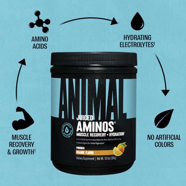 Animal - Juiced Aminos em Pó Laranja 384 g