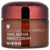 Mizon - Snail Repair Perfect Cream 50 ml