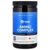 Designs For Health - Designs for Sport Complexo de Aminoácidos Ponche de Frutas 360 g