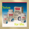 81-3.jpg Jarrow Formulas - Theanine Vegana 200 200 mg 60 Cápsulas Vegetais