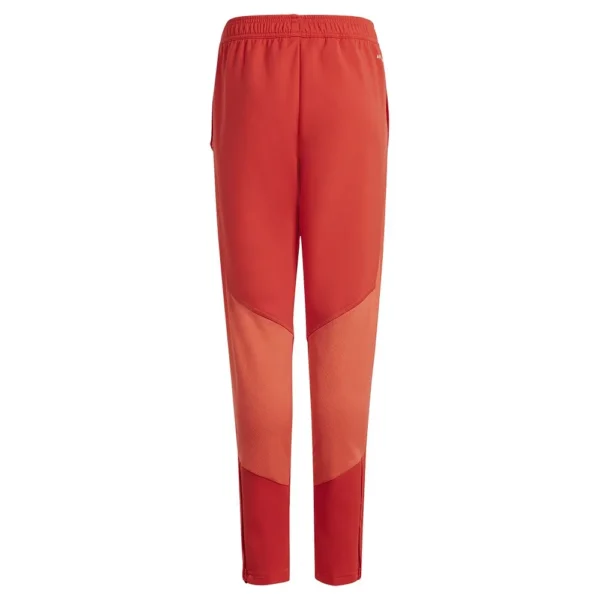 adidas - Calças de fato de treino para jovens Treinamento FC Bayern Munich 23/24 – Red / Bright Red / White