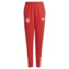 adidas - Calças de fato de treino para jovens Treinamento FC Bayern Munich 23/24 – Red / Bright Red / White