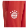 adidas - Calças de fato de treino para jovens Treinamento FC Bayern Munich 23/24 – Red / Bright Red / White