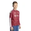 adidas - Camiseta de manga comprida júnior Casa Liverpool FC 26/27 Jersey – Active Maroon