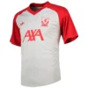 adidas - Camiseta de manga curta Antes do jogo Liverpool FC 26/27 – Masculino – Grey Two