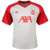 adidas - Camiseta de manga curta Antes do jogo Liverpool FC 26/27 – Masculino – Grey Two