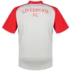 adidas - Camiseta de manga curta Antes do jogo Liverpool FC 26/27 – Masculino – Grey Two