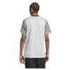 adidas - Camiseta de manga curta Guarda-redes Juventus 24/25 – Masculino – Team Light Grey