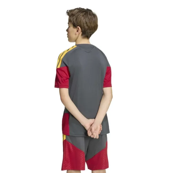 adidas - Camiseta de manga curta júnior Treinamento AS Roma 26/27 Jersey – Grey Six / Team Victory Red