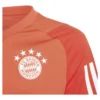 adidas - Camiseta de manga curta júnior Treinamento FC Bayern Munich 23/24 – Red / Bright Red / White