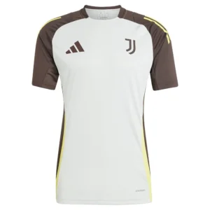 adidas - Camiseta de manga curta Treinamento Juventus 24/25 Tiro 24 Competition – Masculino – Ash Silver