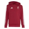 adidas - Moletom com capuz Liverpool FC – Active Maroon
