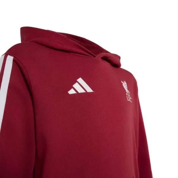adidas - Moletom com capuz Liverpool FC – Active Maroon
