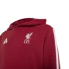 adidas - Moletom com capuz Liverpool FC – Active Maroon