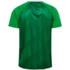 Hummel - Camiseta de manga curta Antes do jogo Real Betis Balompie 26/27 – Masculino – Fern Green