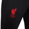 Nike - Calças FC Liverpool 22/23 Dri Fit Strike – Masculino – Black / Siren Red 2