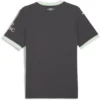 Puma - Camiseta de manga curta Terceira AC Milan 24/25 – Masculino – Shadow Gray / Fresh Mint