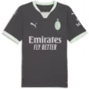 Puma - Camiseta de manga curta Terceira AC Milan 24/25 – Masculino – Shadow Gray / Fresh Mint