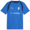 Puma - Camiseta de manga curta Treinamento Olympique Marseille – Masculino – Puma Team Royal / Deep Navy