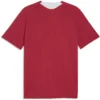 Puma - Camiseta de manga curta Treinamento Portugal 25/26 – Masculino – Club Red / Silver Mist