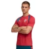 Puma - Camiseta de manga curta Treinamento Portugal 25/26 – Masculino – Club Red / Silver Mist